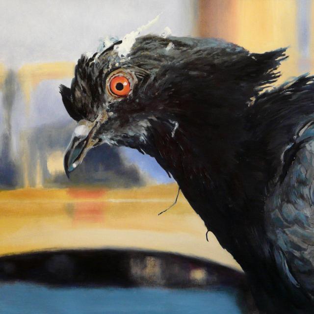 Paris 4e - Pont d'Austerlitz